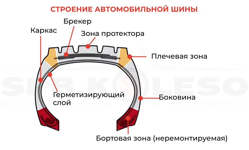 Строение шины